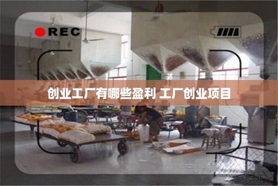 創(chuàng)業(yè)工廠的盈利密碼 調(diào)味品生產(chǎn)項(xiàng)目的機(jī)遇與挑戰(zhàn)