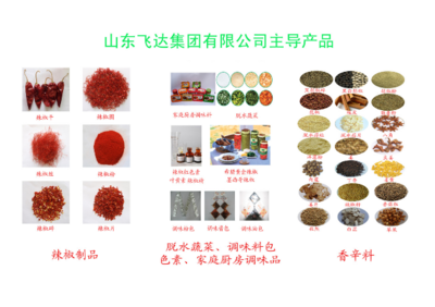 匠心調味，點亮每一餐——全方位解析調味品產品與生產工藝